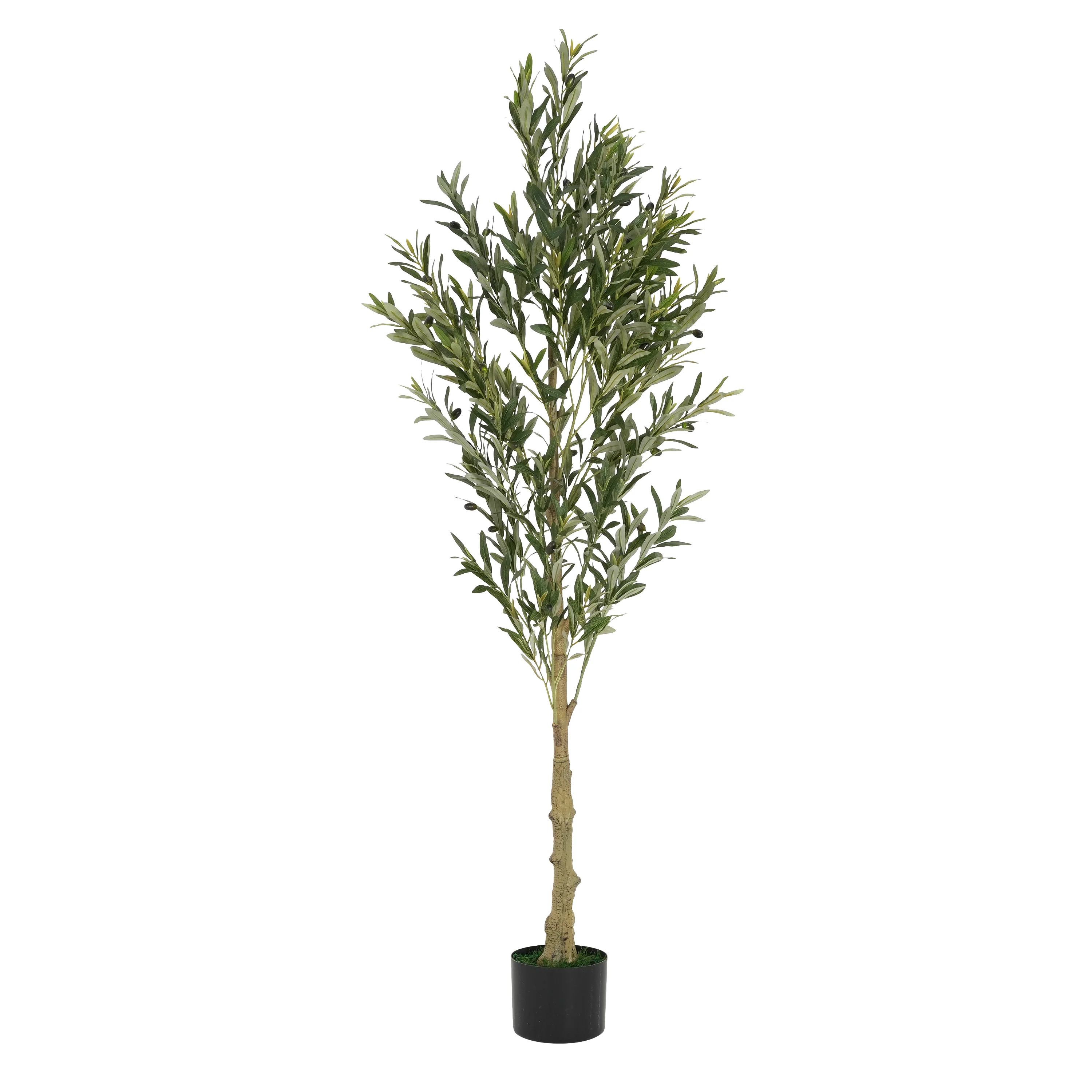 Walker Edison | 6' Artificial Olive Tree with Pot - Image 3